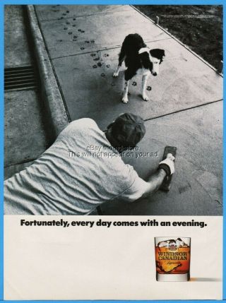 1992 Windsor Canadian Supreme Whiskey Cute Dog Walking On Wet Concrete Print Ad