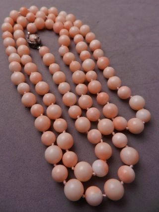 Antique Pink Angel Skin Queen Conch Shell Bead Necklace 35 " Long,  8.  5mm Sz Beads