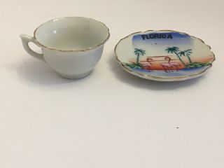 Florida Flamingos Mini Tea Cup and Saucer Set Japan 2