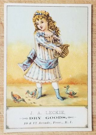 Victorian Trade Card Ja Leckie Dry Goods Providence Rhode Island Ducks