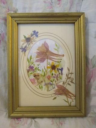 Vintage Pressed Dried Flowers In Frame Cottagecore