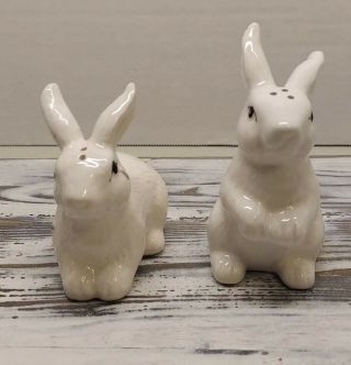Decorative Rabbits Salt And Pepper Shakers 2