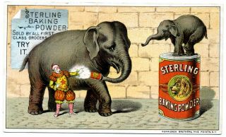 Sterling Baking Powder - Two Elephants And A Clown