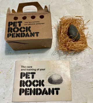 Vintage 1975 Pet Rock W Box Instructions And Grass
