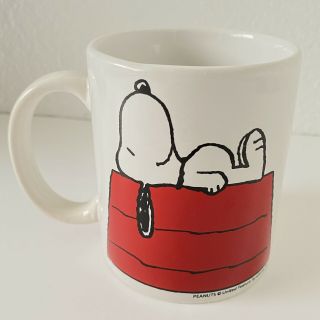 Peanuts Snoopy Red Dog House Coffee Tea Mug Cup Innovative Designs