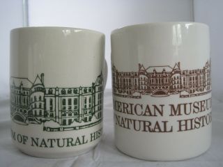 2 Mugs From The American Museum Of Natural History