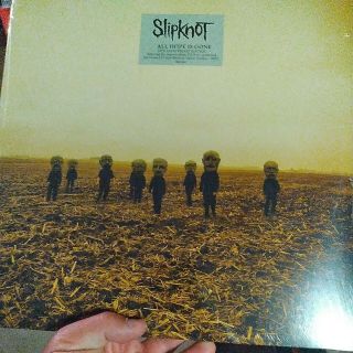 Slipknot Hope Is Gone Slipknot Vinyl Lp,  Cd Iowa Vol.  3 Etc