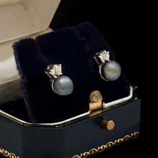 Antique Vintage Art Deco Retro 14k White Gold Tahitian Pearl Diamond Earrings