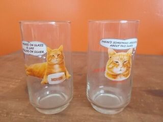 Vtg.  Morris The Cat Promotional Drinking Glasses Set Of Two 9 - Lives 12oz.  Cute.