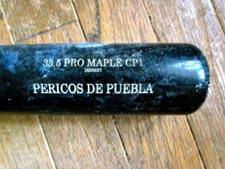 Pericos De Puebla (puebla Parakeets) Team Bat Mexican League 2016