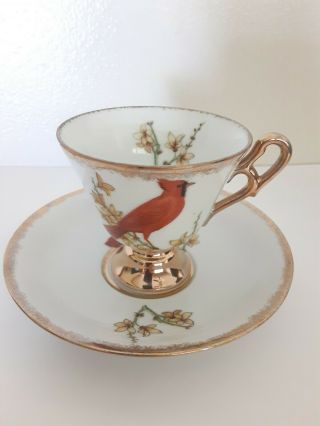 Cardinal Bird Tea Cup And Saucer Mini Demitasse 2