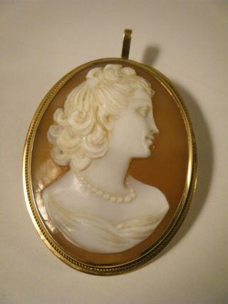 Vintage K14 14k Yellow Gold Carved Shell Cameo Brooch Pendant