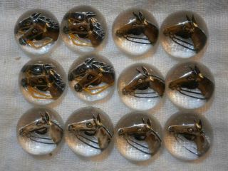 Twelve Small Edwardian Essex Crystals With Horses Head Intaglios For Setting