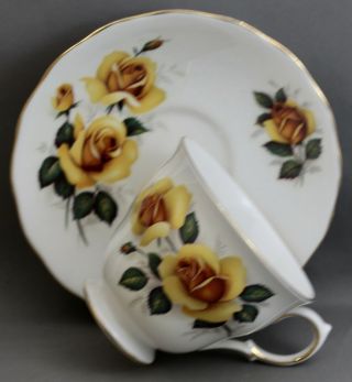 Queen Anne Teacup & Saucer - Yellow Roses M 154