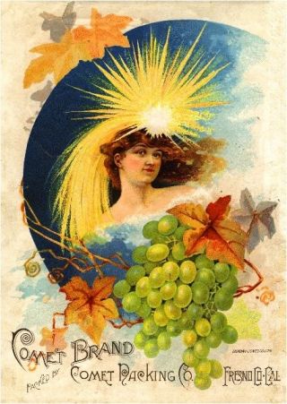 Fresno Comet Raisin Grape Wine Fruit Crate Label Art Poster Print