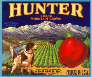 Wenatchee Washington Hunter Spaniel Dog Apple Fruit Crate Label Art Print