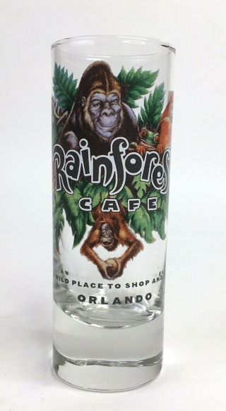 Rainforest Cafe Orlando Shot Glass Florida Collectible Euc
