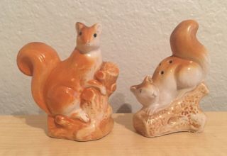 Vintage Squirrel Salt And Pepper Shakers Set Collectible Kitchen