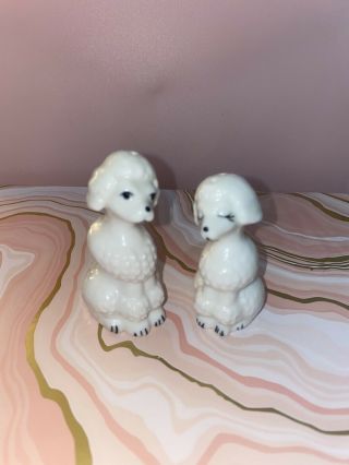 Vintage Bone China White Poodle Dogs Salt And Pepper Shakers,  Taiwan,  Brinns