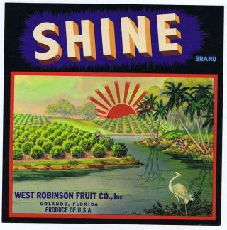 Shine Florida Orange Citrus Label West Robinson Fruit Orlando Fl 9x9