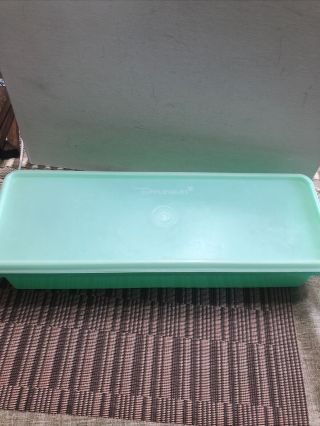 Vintage Tupperware Green Celery Keeper Crisper Container 892 - 3 With Lid 893 - 3