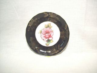 733p - Royal Halsey Floral Pattern Porcelain Saucer W/gold Trim - Vintage
