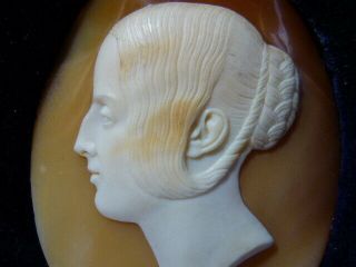 Important 19thc Signed Queen Victoria Shell Cameo By Tommaso Saulini 1793 - 1864