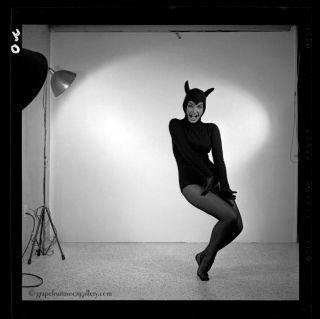 Bettie Page Rare 1954 Camera Negative Bunny Yeager Estate Hot Devil Doll Pose NR 2