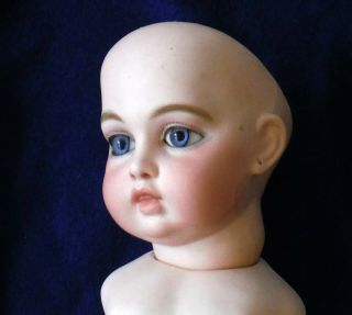Antique French Bebe Bru Jne 5 Doll Head With Kid Body P833