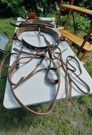 Vintage Hunt ' s Harness Brown Leather Carriage Show Harness Handles 17 Hands 3