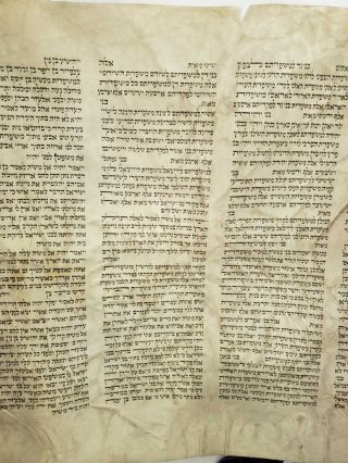 Torah Ashcenazi vintage Sefer Torah Jewish Judaica teach display gift full size 6