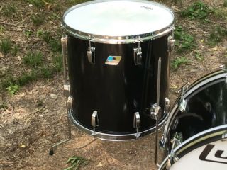 Vintage Ludwig Classic Maple Drum Set Black Cortex 22,  12,  13,  16 3