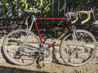 Vintage Guerciotti Italian Road Bike - Campagnolo
