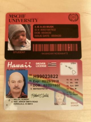 MSCHF Boosted Pack - Rare Vaccine Card McDonalds ID Drivers License Theranos 2