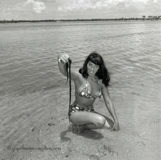Bettie Page 1954 Camera Negative Bunny Yeager Estate Unpublished Rarity