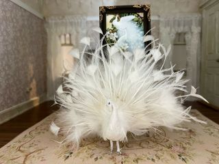 Vintage Miniature Dollhouse Artisan Mike Barbour Pretty White Peacock Taxidermy 3