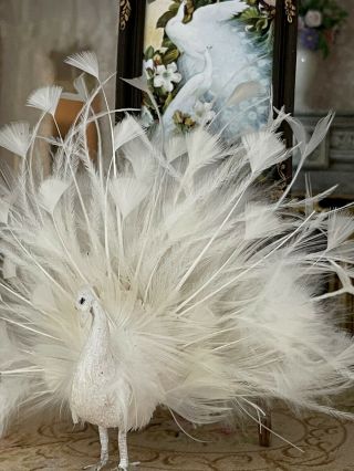 Vintage Miniature Dollhouse Artisan Mike Barbour Pretty White Peacock Taxidermy 4