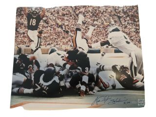 Walter Payton Autograph Photo Large 16 " X20 " Cert,  Diving Into The End Zone