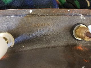 Vintage Kohler Enameled Cast Iron Bathroom Lavatory Sink Tiger Lily 4