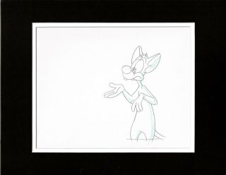 Spielberg Pinky And The Brain 1995 - 98 Production Cel Drawing Warner Brothers K9