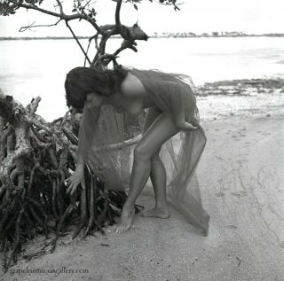 Bettie Page 1954 Camera Negative Bunny Yeager Photograph Nude On Beach