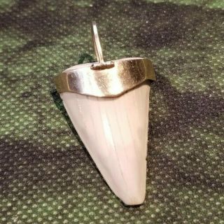 14k Yellow Gold Shark Tooth Pendant Vintage 18 Grams 42mm Necklace