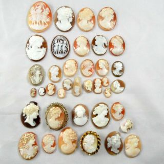 Quantity 38 Antique & Vintage Natural Carved Shell Cameos For Brooch Or Ring