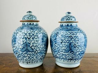 Antique Chinese Porcelain Ginger Jars Lidded Vase Blue and White Kangxi 4