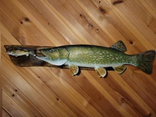 Trophy Northern Pike Wood Carving Fish Taxidermy Fish Decoy Casey Edwards