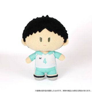 Haikyuu To The Top Hajime Iwaizumi Plush Doll Height 23cm Official Japan