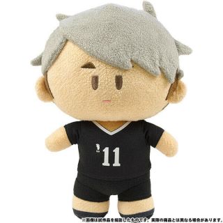 Haikyuu To The Top Miya Osamu Plush Doll Height 23 Cm Official Japan