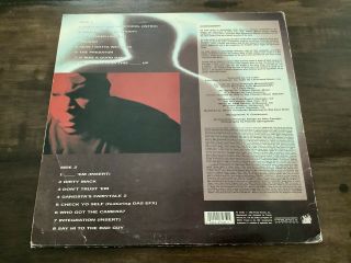 Ice Cube “The Predator” Vinyl LP 2