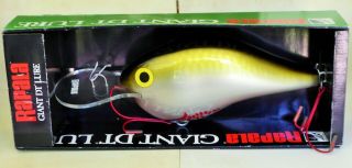 Vintage Rapala Giant Dt Lure Display " Finnish Minnow 24 " Fishing Lure Sign W/box