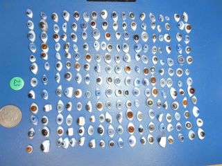 200 Piece Oval Vintage Glass Eyes Lauscha 1890 Germany Ca.  0,  28 - 0,  63 Inch Long